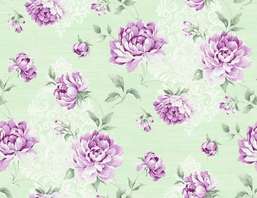  Seabrook Garden Rose RG60519