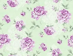  Seabrook Garden Rose RG60519