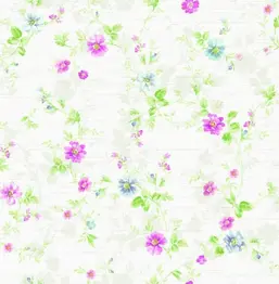  Seabrook Garden Rose RG60904