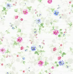  Seabrook Garden Rose RG60907