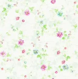 Seabrook Garden Rose RG60908