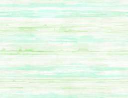  Seabrook Garden Rose RG61312