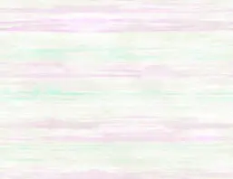  Seabrook Garden Rose RG61322
