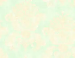  Seabrook Nefeli NF50102