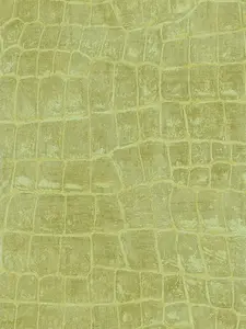  Seabrook Tortuga TA20504 -  1
