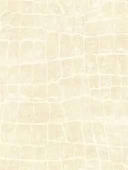  Seabrook Tortuga TA20505