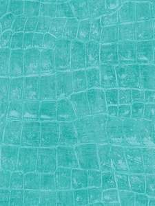  Seabrook Tortuga TA20512