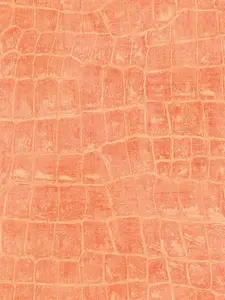  Seabrook Tortuga TA20516 -  1