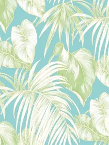  Seabrook Tortuga TA21602 -  1
