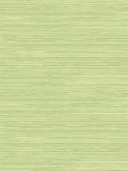 Seabrook Tortuga TA21704
