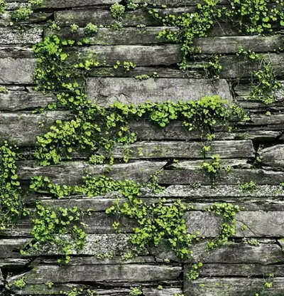 Обои Shinhan Wallcoverings Natural 87029-1
