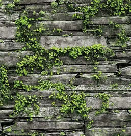  Shinhan Wallcoverings Natural 87029-1