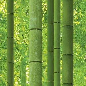 Обои Shinhan Wallcoverings Natural 88423-1 - фото 1