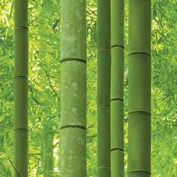  Shinhan Wallcoverings Natural 88423-1