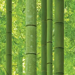  Shinhan Wallcoverings Natural 88423-1
