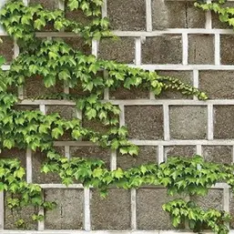  Shinhan Wallcoverings Natural 88428-2