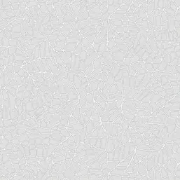  Gaenari Bonito 81076-4