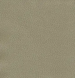  Shinhan Wallcoverings Modern Sense 2017 88178-4 Kings Leather