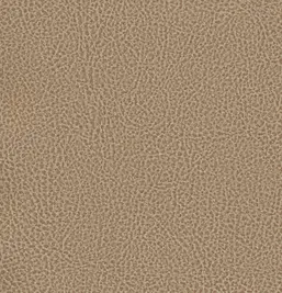  Shinhan Wallcoverings Modern Sense 2017 88178-5 Kings Leather