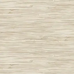  Gaenari Skene 85060-3
