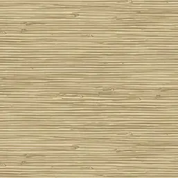  Gaenari Skene 85060-4