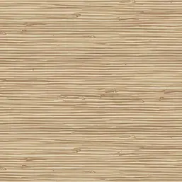  Gaenari Skene 85060-5