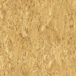  Gaenari Skene 85070-3