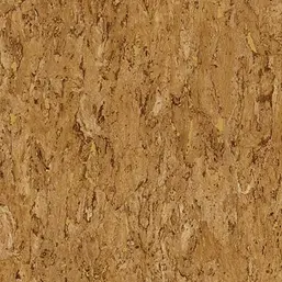  Gaenari Skene 85070-4