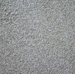  Silk Plaster  515