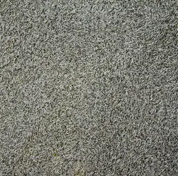  Silk Plaster  516