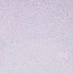  Silk Plaster Art Design 269