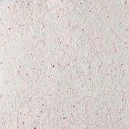  Silk Plaster  101