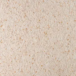  Silk Plaster  107