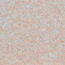   Silk Plaster  055