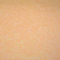  Silk Plaster  043