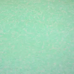  Silk Plaster   045