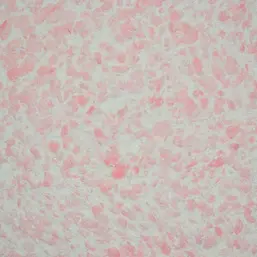  Silk Plaster  324
