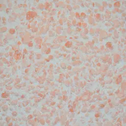  Silk Plaster   328