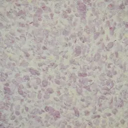  Silk Plaster   331