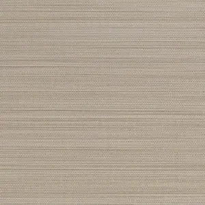  Sirpi  JWALL Straw 50533 -  1