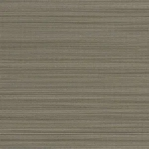 Sirpi  JWALL Straw 50535 -  1