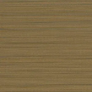  Sirpi  JWALL Straw 50537 -  1