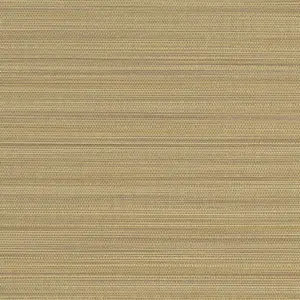  Sirpi  JWALL Straw 50538 -  1