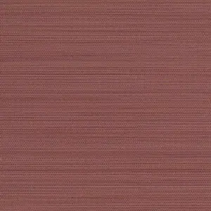  Sirpi  JWALL Straw 50545 -  1