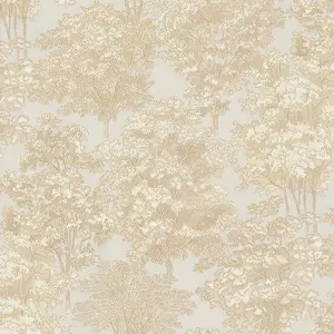  Studio Italia Collection Mediolanum ME80001 -  1
