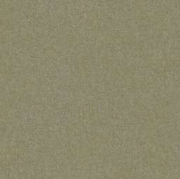  Studio Italia Collection Mediolanum ME80036