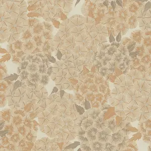  Studio Italia Collection Meraviglia  MV20007 -  1
