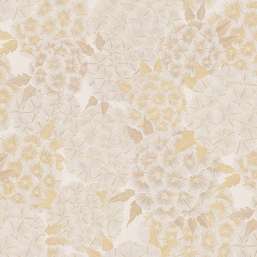  Studio Italia Collection Meraviglia  MV20012