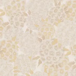  Studio Italia Collection Meraviglia  MV20012