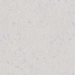  Studio Italia Collection Tesoro TS10022